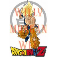 Dragon Ball Z 4